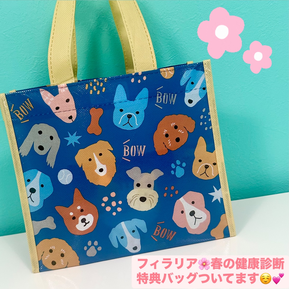 ▲01)【同梱不可】【希少本・動画CD付き】ステップアップ犬と猫の臨床歯科 口腔疾患の治療 ビジュアル解説/渡邊一弘/インターズー/獣医学/A 楽天ブックス: ステップアップ犬と猫の臨床歯科 - 口腔疾患の